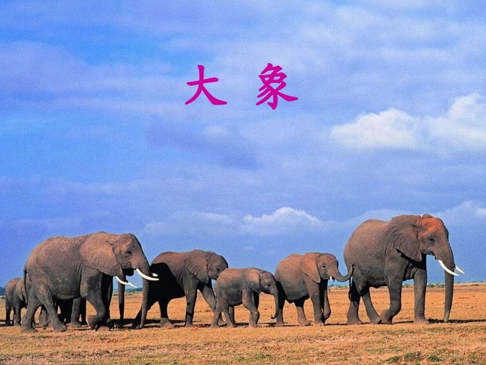 6曹冲称象 (2)_第3页