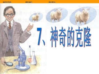 8、神奇的克隆 (2)