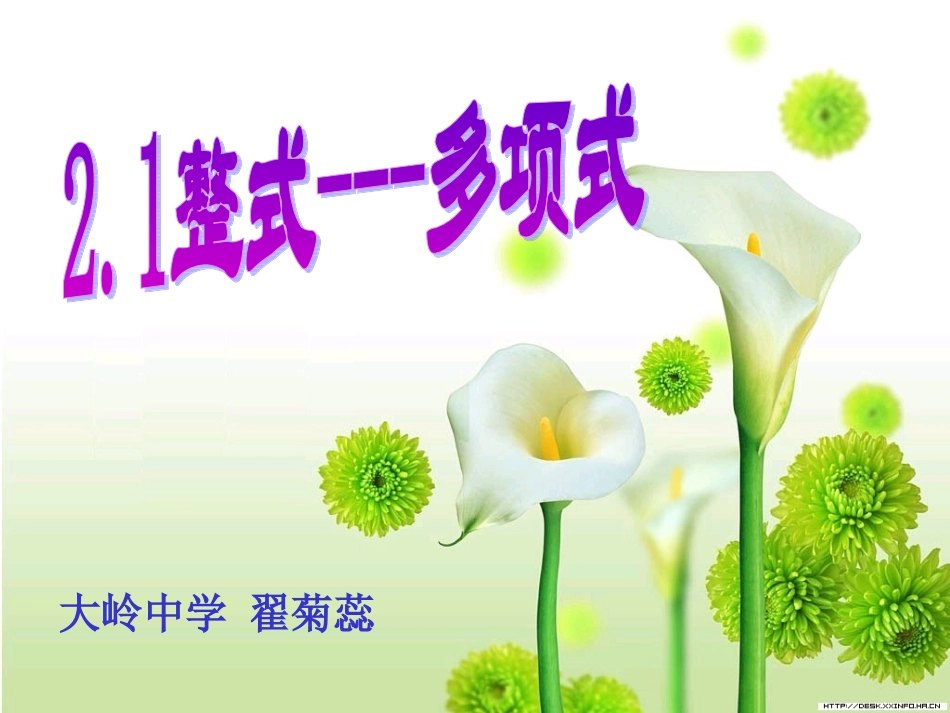 整式-多项式_第1页