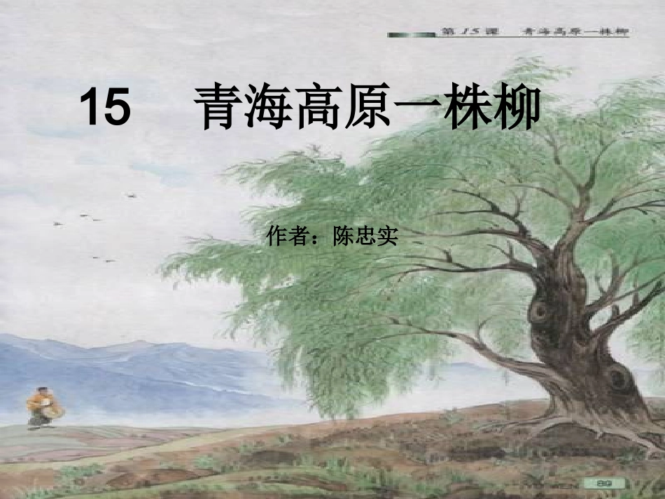 青海高原一株柳0_第2页