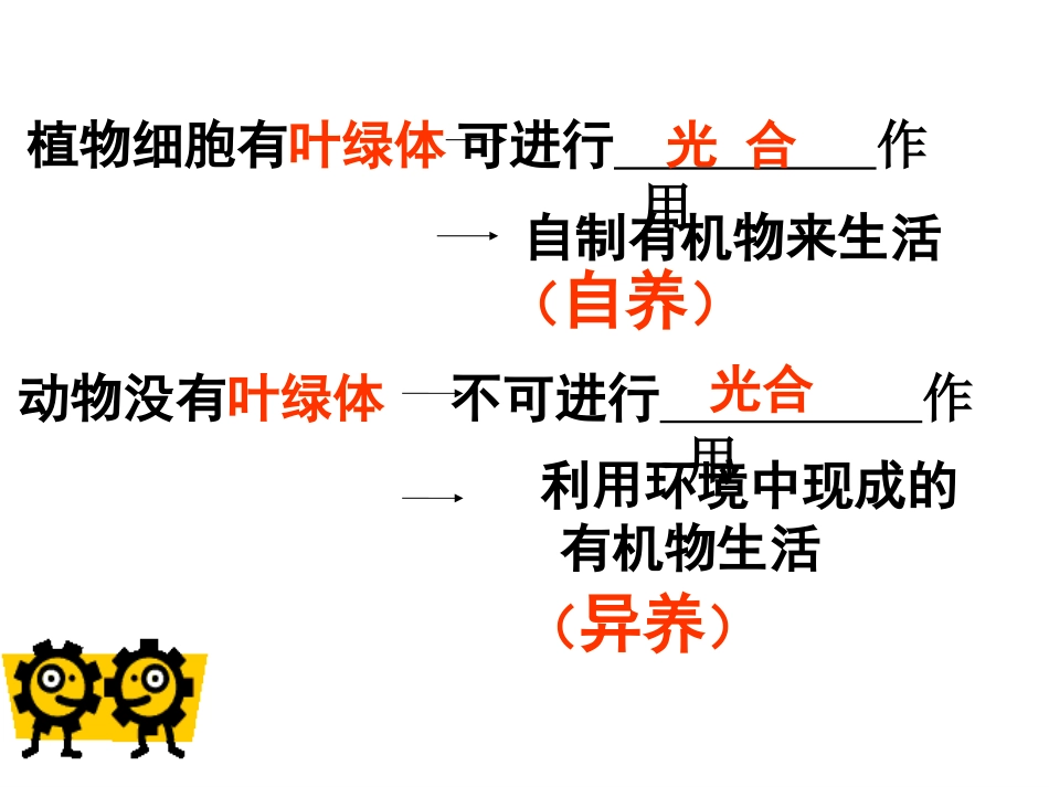 细菌PPT课件_第2页