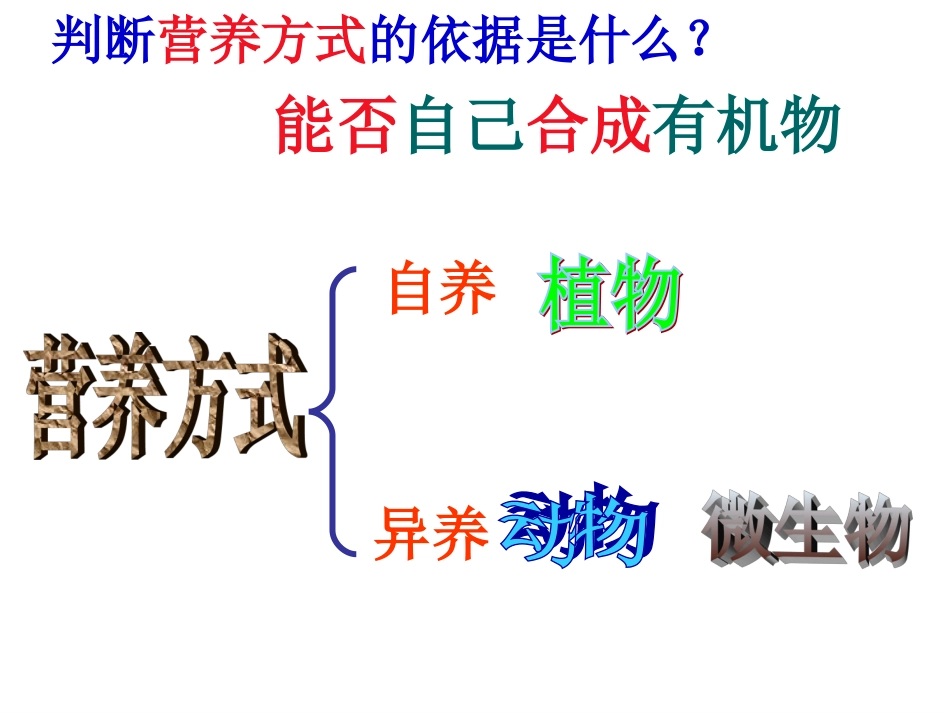 细菌PPT课件_第3页