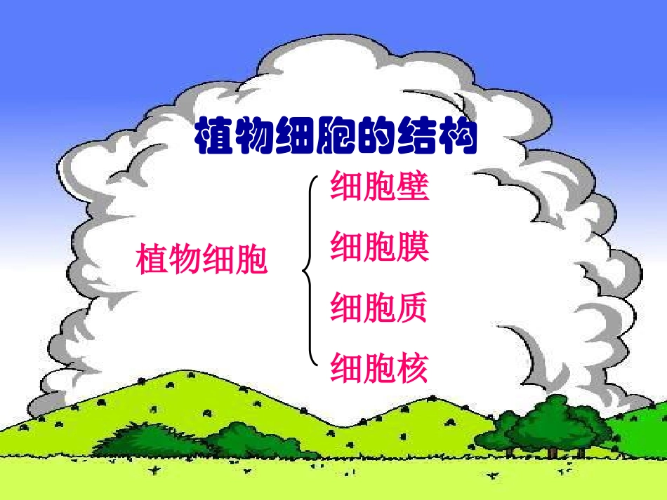 植物细胞结构_第2页