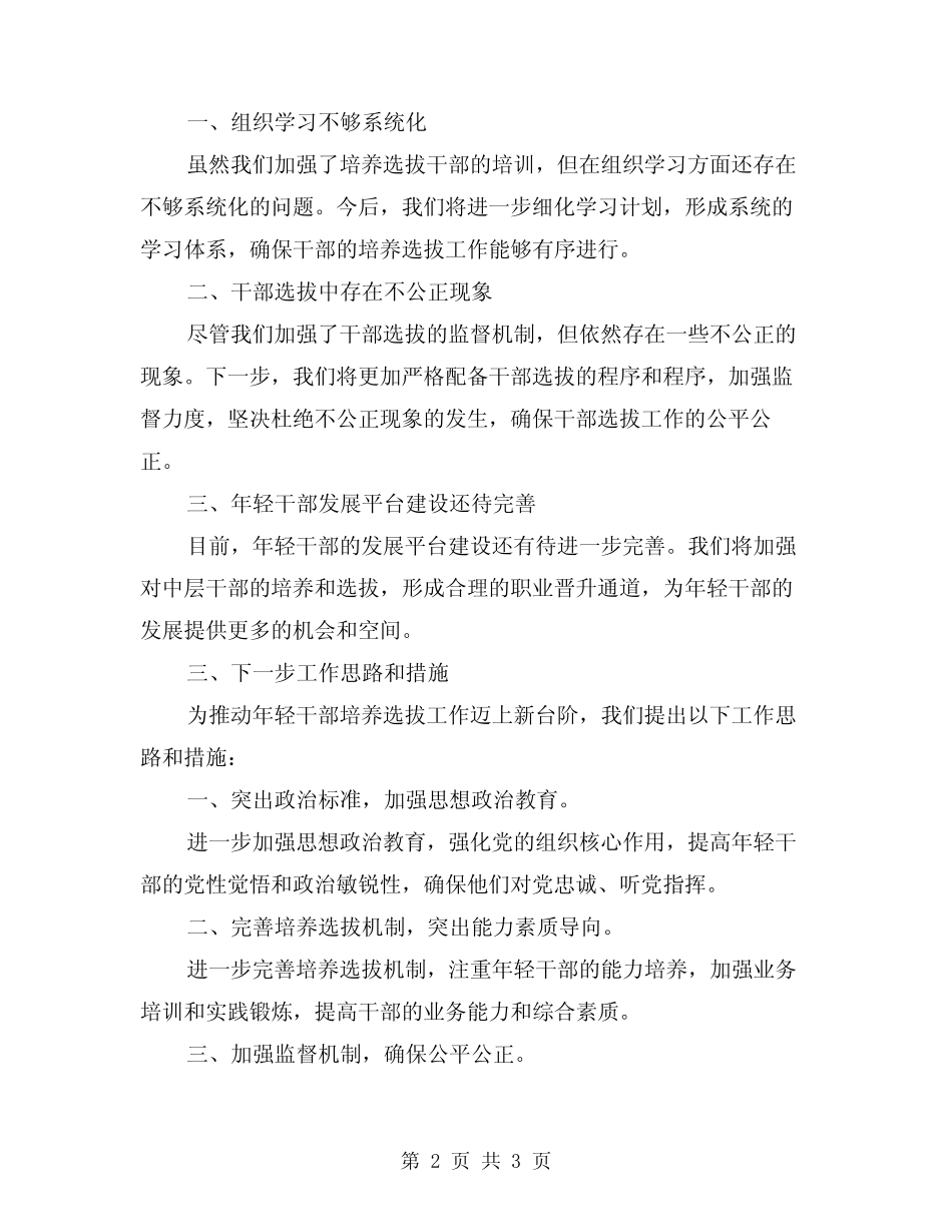 2024年培养选拔优秀年轻干部工作总结_第2页