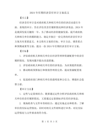 2024年任期经济责任审计方案范文