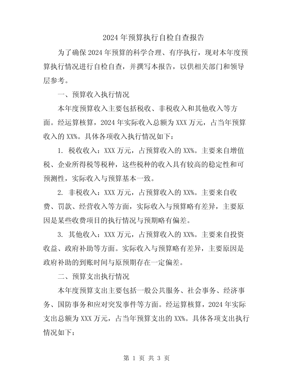2024年预算执行自检自查报告_第1页