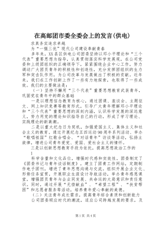 在高邮团市委全委会上的发言稿(供电)