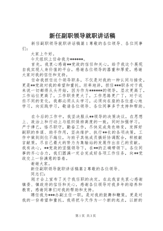 新任副职领导就职讲话发言稿