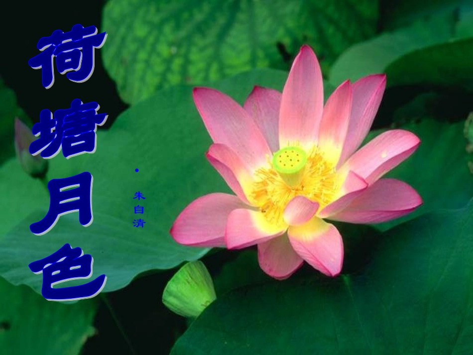 荷塘月色课件_第1页