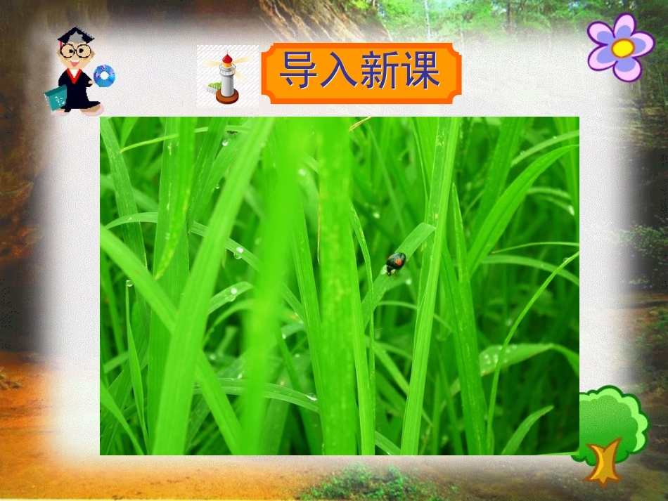 3草虫的村落 (3)_第1页