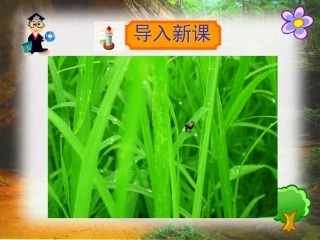3草虫的村落 (3)