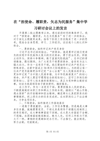 在“担使命、履职责，矢志为民服务”集中学习研讨会议上的发言稿