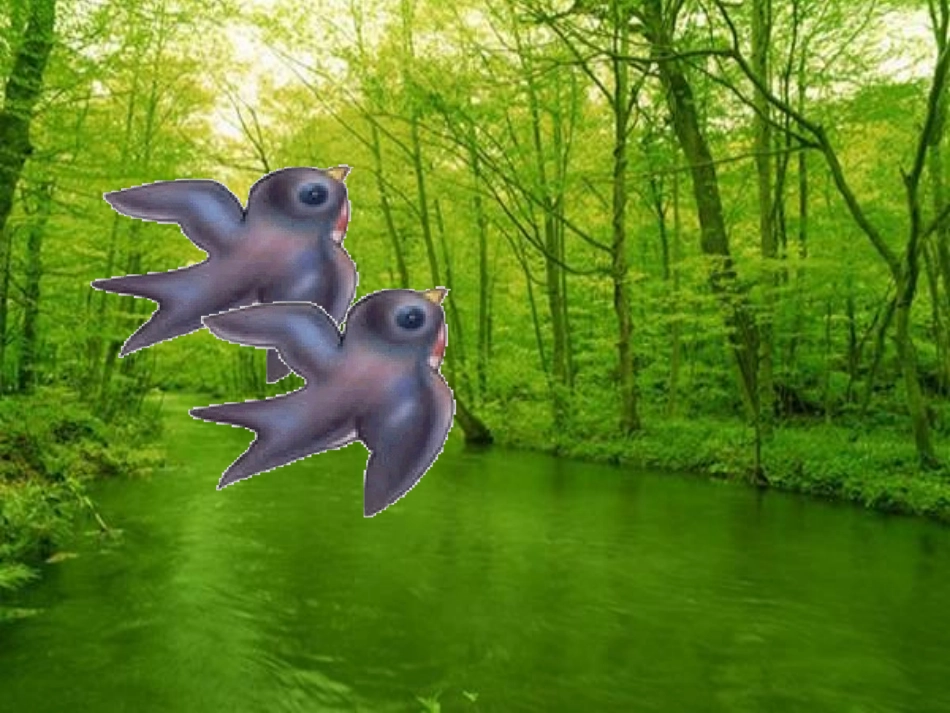 1_《燕子》_第1页