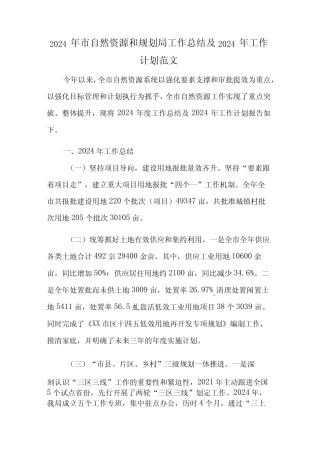2024年市自然资源和规划局工作总结及2024年工作计划范文 
