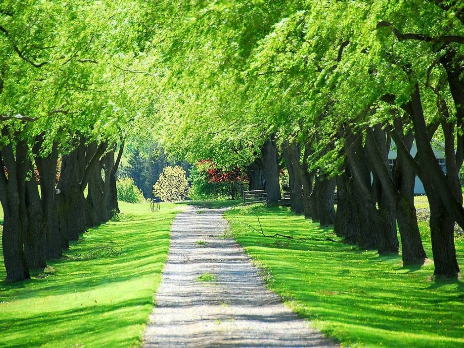 绿色呼唤（王金绒）_第3页