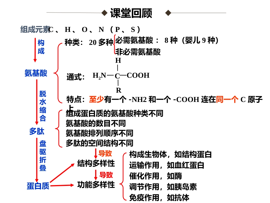 23遗传信息的携带者——核酸_第1页
