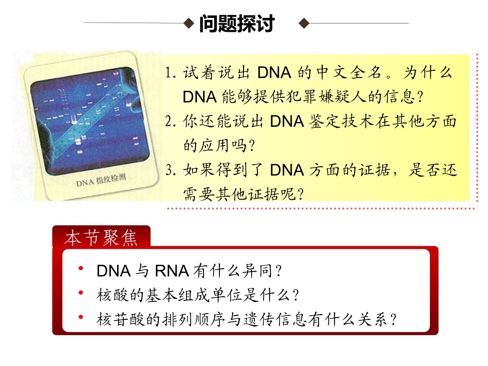 23遗传信息的携带者——核酸_第3页
