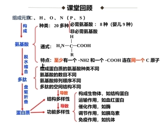 23遗传信息的携带者——核酸