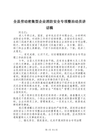 全县劳动密集型企业消防安全专项整治动员讲话发言稿