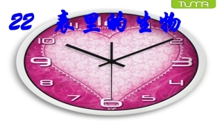 表里的生物课件