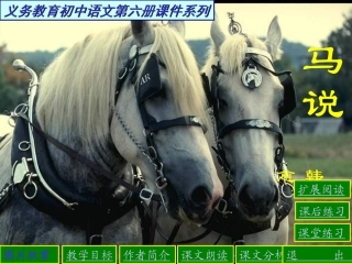 参赛之马说课件