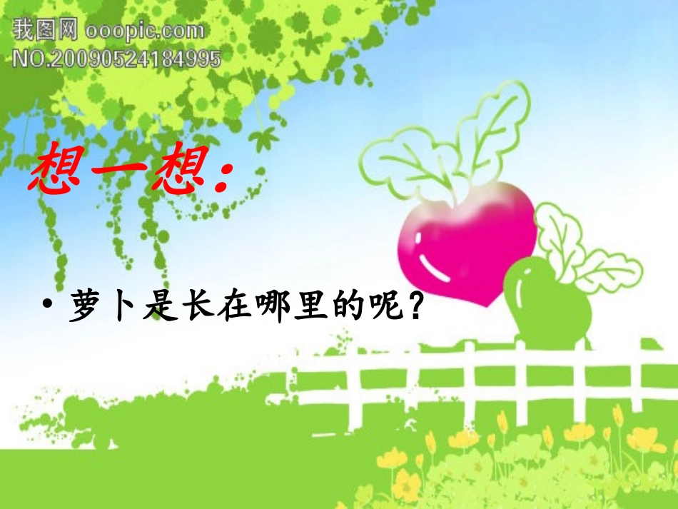 傻小熊种萝卜_第2页