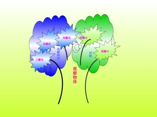 观察物体知识树