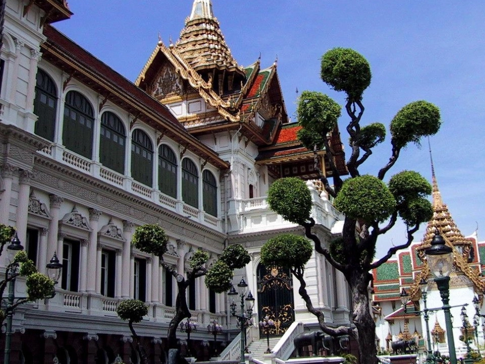 与象共舞课件3_第1页