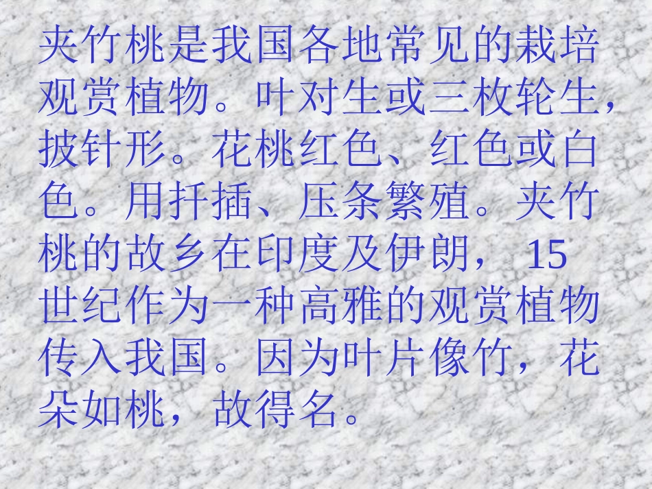 19夹竹桃（2）_第2页