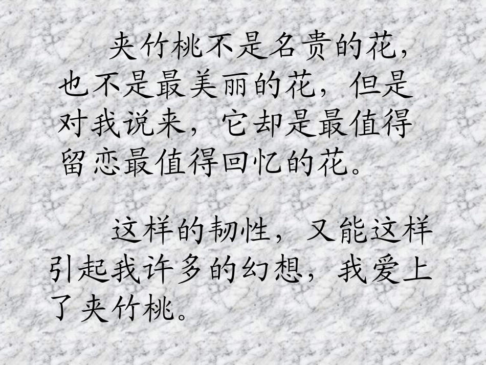 19夹竹桃（2）_第3页