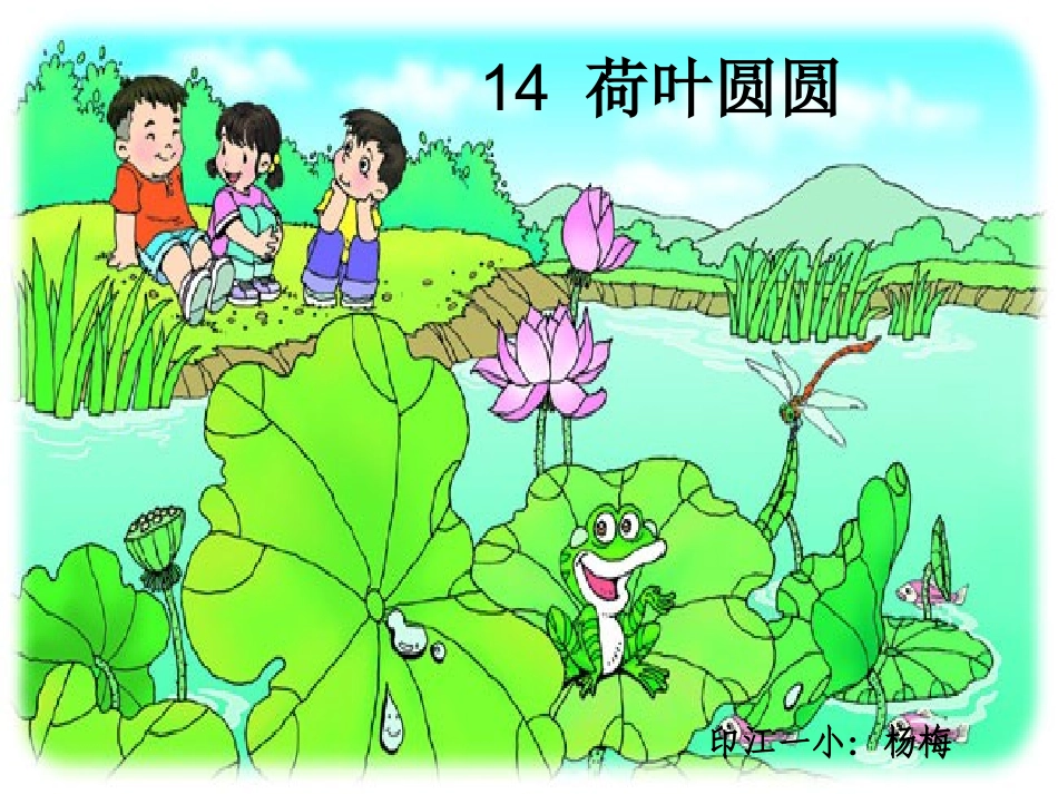 荷叶圆圆课件_第1页