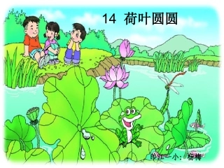 荷叶圆圆课件