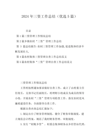 2024年三资工作总结(优选5篇)