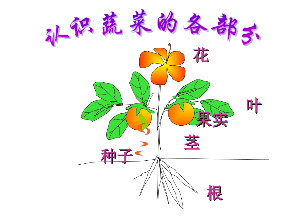蔬菜哪里可以吃_第2页