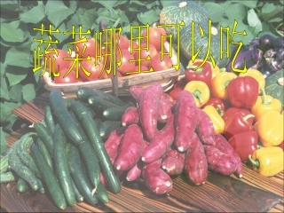 蔬菜哪里可以吃