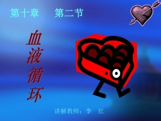 血液循环 (2)