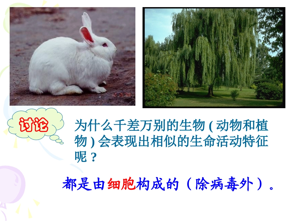 21细胞（第一课时）王_第1页