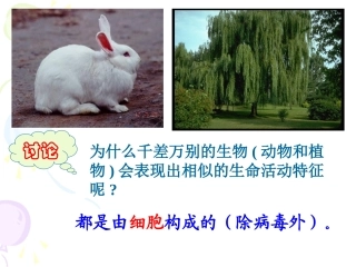 21细胞（第一课时）王