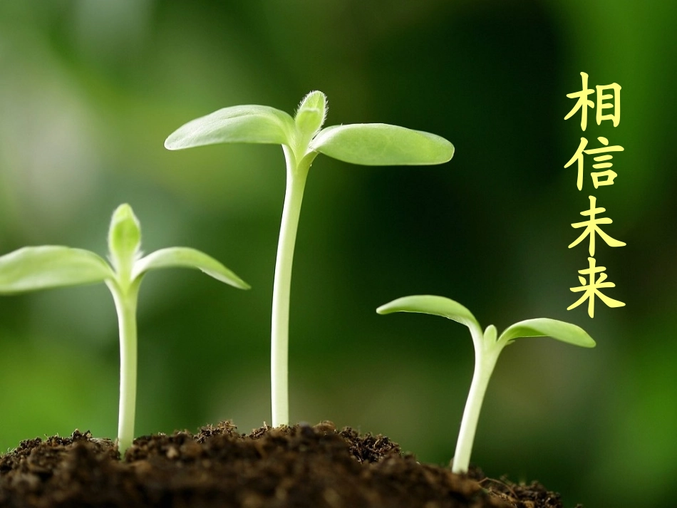 相信未来 (2)_第1页