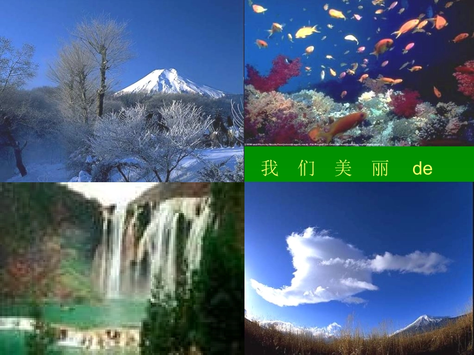 1依法保护人类共有的家园PPT课件_第2页