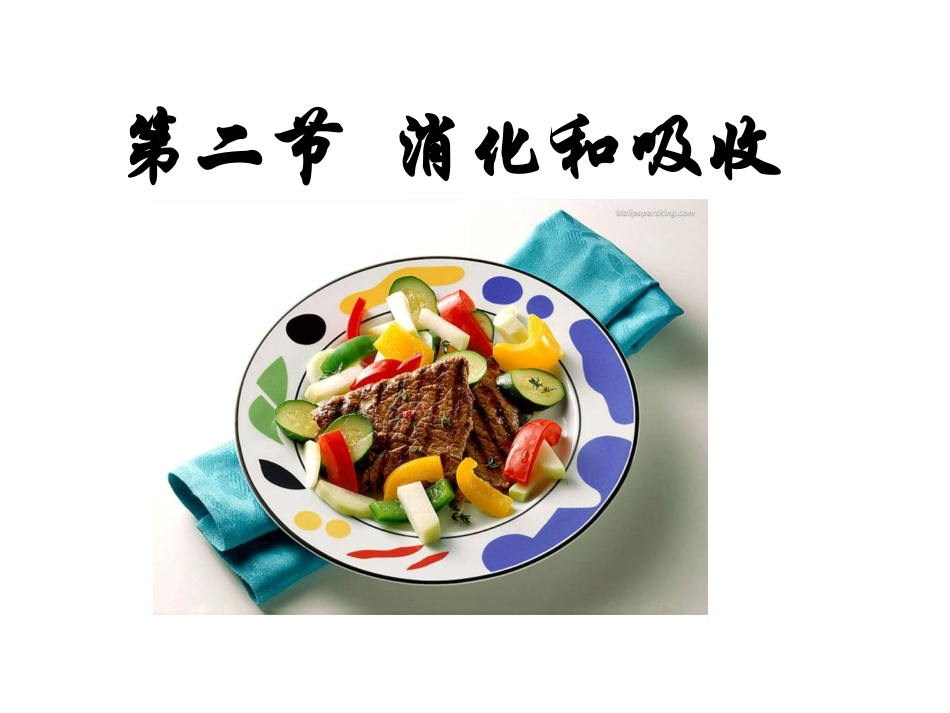 第二章第二节《消化和吸收》_第1页