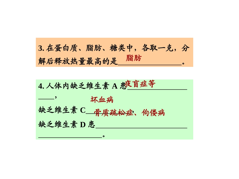 第二章第二节《消化和吸收》_第3页