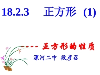 正方形的性质