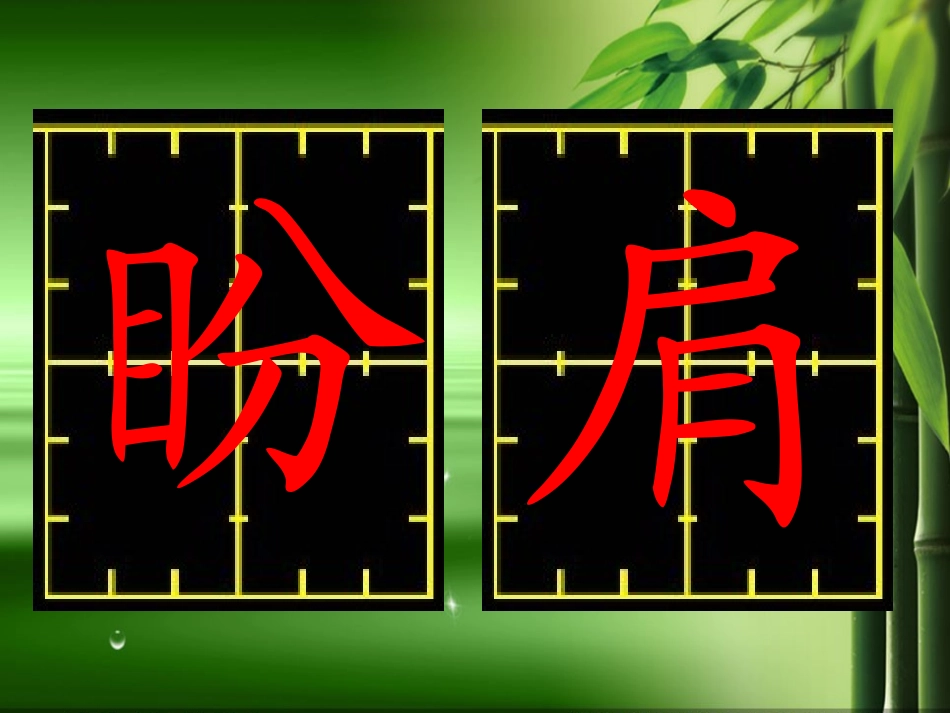 《大熊猫出国》_第3页