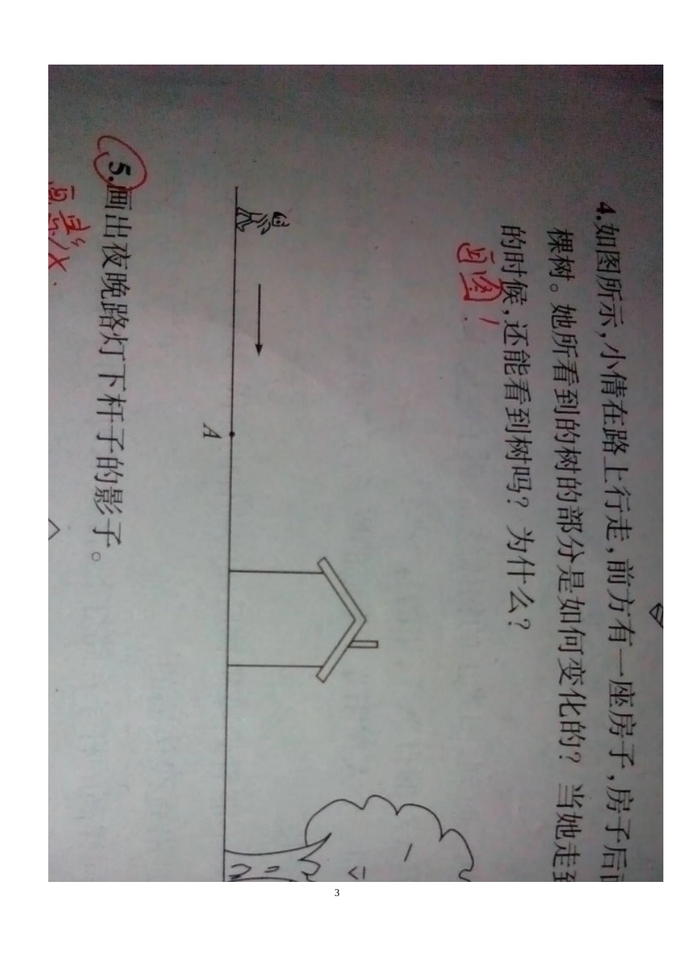 观察物体（一）_第3页
