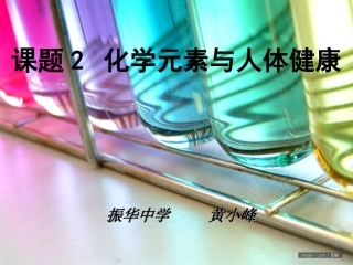 第十二单元课题2+化学元素与人体健康PPT