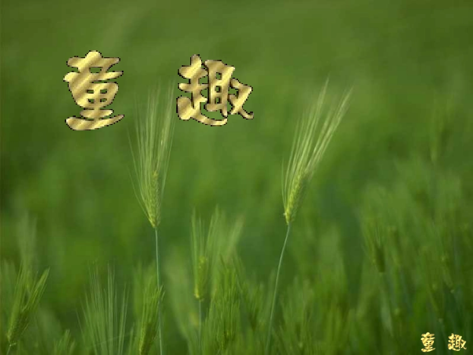 《童趣》课件_第2页