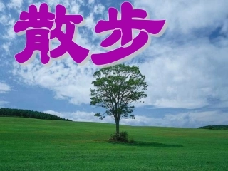 散步 (9)