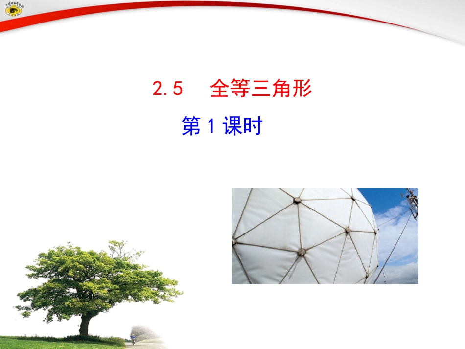 25全等三角形（第1课时）_第1页