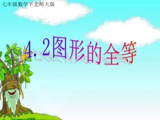 42图形的全等